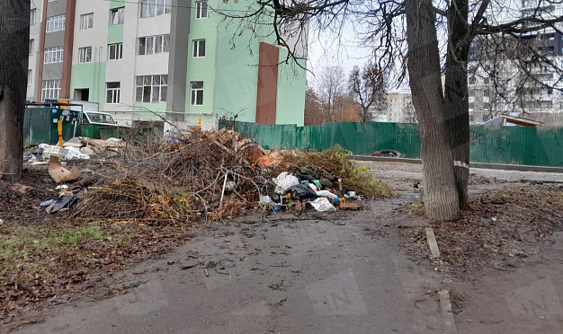 В Иванове на Багаева образовалась стихийная свалка